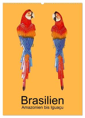 Brasilien – Amazonien bis Iguaçu (Wandkalender 2024 DIN A2 hoch), CALVENDO Monatskalender von Rudolf Blank,  Dr.