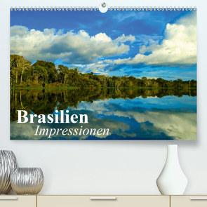 Brasilien. Impressionen (Premium, hochwertiger DIN A2 Wandkalender 2021, Kunstdruck in Hochglanz) von Stanzer,  Elisabeth