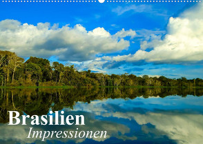 Brasilien. Impressionen (Wandkalender 2022 DIN A2 quer) von Stanzer,  Elisabeth