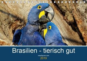 Brasilien tierisch gut 2019 (Tischkalender 2019 DIN A5 quer) von Bergwitz,  Uwe