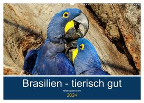 Brasilien tierisch gut 2024 (Wandkalender 2024 DIN A2 quer), CALVENDO Monatskalender von Bergwitz,  Uwe