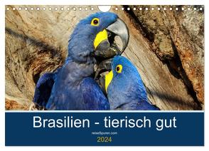 Brasilien tierisch gut 2024 (Wandkalender 2024 DIN A4 quer), CALVENDO Monatskalender von Bergwitz,  Uwe