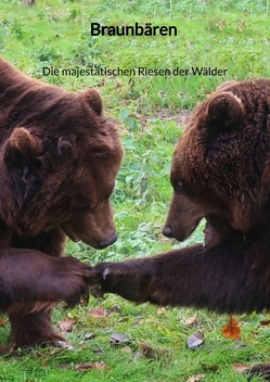 Braunbären – Die majestätischen Riesen der Wälder von Zimmer,  Marco