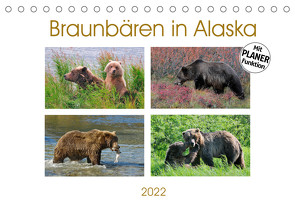 Braunbären in Alaska (Tischkalender 2022 DIN A5 quer) von Wilczek,  Dieter-M.
