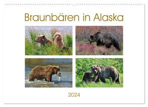 Braunbären in Alaska (Wandkalender 2024 DIN A2 quer), CALVENDO Monatskalender von Wilczek,  Dieter