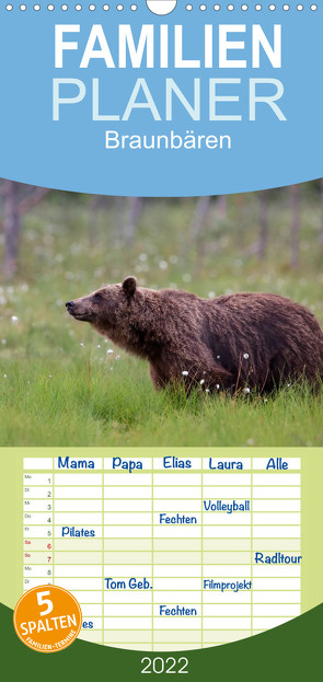 Braunbären – pelzige Riesen in Finnlands Wäldern – Familienplaner hoch (Wandkalender 2022 , 21 cm x 45 cm, hoch) von Sandra Eigenheer,  ©