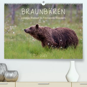 Braunbären – pelzige Riesen in Finnlands Wäldern (Premium, hochwertiger DIN A2 Wandkalender 2023, Kunstdruck in Hochglanz) von Sandra Eigenheer,  ©