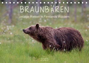 Braunbären – pelzige Riesen in Finnlands Wäldern (Tischkalender 2023 DIN A5 quer) von Sandra Eigenheer,  ©