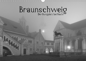 Braunschweig (Wandkalender 2020 DIN A3 quer) von Dölger,  Annette