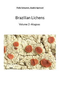 Brazilian Lichens von Aptroot,  Andre, Schumm,  Felix