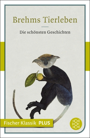 Brehms Tierleben von Brehm,  Alfred Edmund