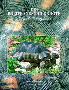 Die Breitrandschildkröte von Rogner,  Manfred