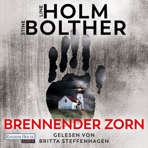Brennender Zorn von Bolther,  Stine, Frauenlob,  Günther, Holm,  Line, Hüther,  Franziska, Steffenhagen,  Britta