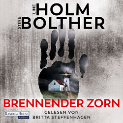 Brennender Zorn von Bolther,  Stine, Frauenlob,  Günther, Holm,  Line, Hüther,  Franziska, Steffenhagen,  Britta