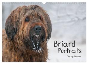 Briard Portraits (Wandkalender 2024 DIN A3 quer), CALVENDO Monatskalender von Stelzner,  Georg