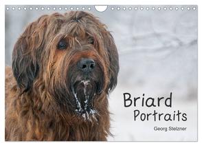 Briard Portraits (Wandkalender 2024 DIN A4 quer), CALVENDO Monatskalender von Stelzner,  Georg