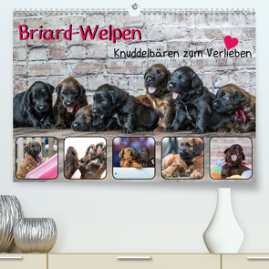 Briard-Welpen – Knuddelbären zum Verlieben (Premium, hochwertiger DIN A2 Wandkalender 2021, Kunstdruck in Hochglanz) von Teßen,  Sonja