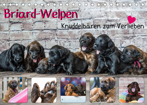 Briard-Welpen – Knuddelbären zum Verlieben (Tischkalender 2023 DIN A5 quer) von Teßen,  Sonja