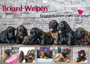 Briard-Welpen – Knuddelbären zum Verlieben (Wandkalender 2022 DIN A4 quer) von Teßen,  Sonja