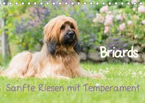 Briards – sanfte Riesen mit Temperament (Tischkalender 2018 DIN A5 quer) von Teßen,  Sonja