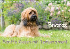 Briards – sanfte Riesen mit Temperament (Tischkalender 2019 DIN A5 quer) von Teßen,  Sonja