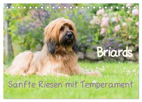 Briards – sanfte Riesen mit Temperament (Tischkalender 2024 DIN A5 quer), CALVENDO Monatskalender von Teßen,  Sonja