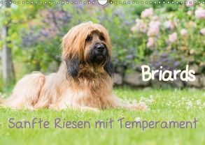 Briards – sanfte Riesen mit Temperament (Wandkalender 2018 DIN A3 quer) von Teßen,  Sonja