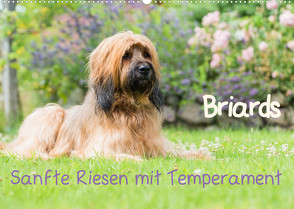 Briards – sanfte Riesen mit Temperament (Wandkalender 2023 DIN A2 quer) von Teßen,  Sonja