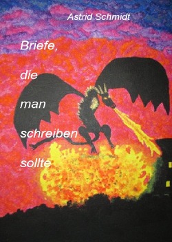 Briefe, die man schreiben sollte von Schmidt,  Astrid