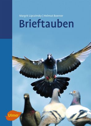Brieftauben von Boerner,  Helmut, Lipczinsky,  Margrit