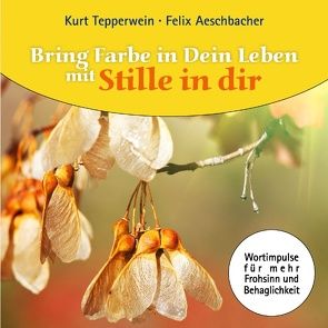 Bring Farbe in Dein Leben mit Stille in dir von Aeschbacher,  Felix, Tepperwein,  Kurt