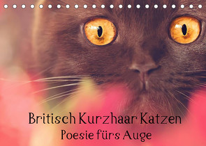 Britisch Kurzhaar Katzen – Poesie fürs Auge (Tischkalender 2023 DIN A5 quer) von Bürger Wabi-Sabi Tierfotografie,  Janina