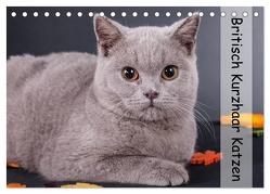 Britisch Kurzhaar Katzen (Tischkalender 2024 DIN A5 quer), CALVENDO Monatskalender von Wejat-Zaretzke,  Gabriela