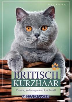 Britisch Kurzhaar von Weichelt,  Jana