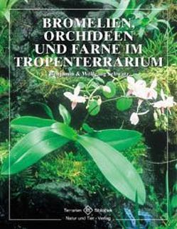 Bromelien, Orchideen und Farne im Tropenterrarium von Schwarz,  Benjamin, Schwarz,  Wolfgang