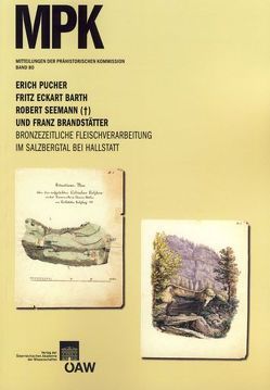 Bronzezeitliche Fleischverarbeitung im Salzbergtal bei Hallstatt von Barth,  Fritz Eckart, Brandstätter,  Franz, Friesinger,  Herwig, Lochner,  Michaela, Pucher,  Erich, Seemann,  Robert