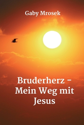 Bruderherz – Mein Weg mit Jesus von Mrosek,  Gaby