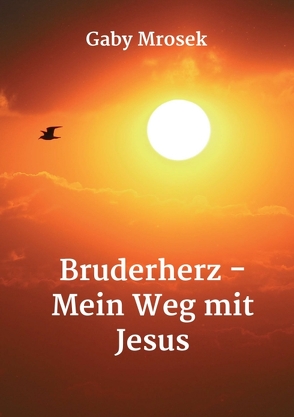 Bruderherz – Mein Weg mit Jesus von Mrosek,  Gaby