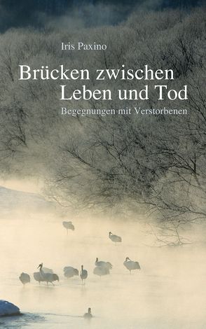 Brücken zwischen Leben und Tod von Paxino,  Iris