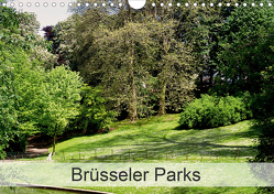 Brüsseler Parks (Wandkalender 2021 DIN A4 quer) von Bombaert,  Patrick