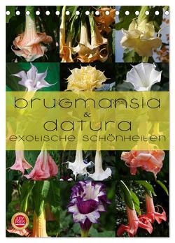 Brugmansia & Datura – Exotische Schönheiten (Tischkalender 2024 DIN A5 hoch), CALVENDO Monatskalender von Cross,  Martina