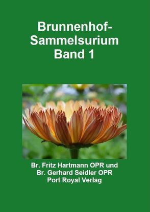 Brunnenhof Sammelsurium Band 1 von Hartmann,  Fritz, Seidler,  Gerhard