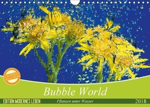 Bubble World – Pflanzen unter Wasser (Wandkalender 2018 DIN A4 quer) von Sattler,  Stefan