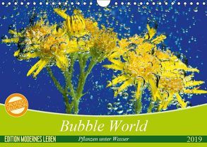 Bubble World – Pflanzen unter Wasser (Wandkalender 2019 DIN A4 quer) von Sattler,  Stefan