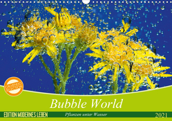 Bubble World – Pflanzen unter Wasser (Wandkalender 2021 DIN A3 quer) von Sattler,  Stefan