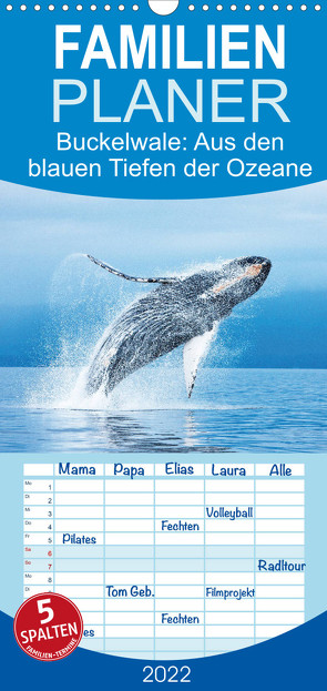 Familienplaner Buckelwale: Aus den blauen Tiefen der Ozeane (Wandkalender 2022 , 21 cm x 45 cm, hoch) von CALVENDO