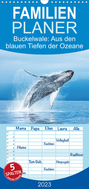 Buckelwale: Aus den blauen Tiefen der Ozeane – Familienplaner hoch (Wandkalender 2023 , 21 cm x 45 cm, hoch) von CALVENDO