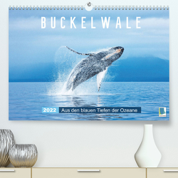 Buckelwale: Aus den blauen Tiefen der Ozeane (Premium, hochwertiger DIN A2 Wandkalender 2022, Kunstdruck in Hochglanz) von CALVENDO