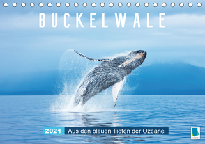 Buckelwale: Aus den blauen Tiefen der Ozeane (Tischkalender 2021 DIN A5 quer) von CALVENDO