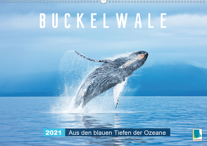 Buckelwale: Aus den blauen Tiefen der Ozeane (Wandkalender 2021 DIN A2 quer) von CALVENDO